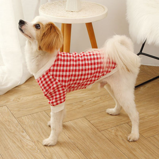 Suéter Deportivo para Perros con Cuello Alto Resistente al Viento - Image 6