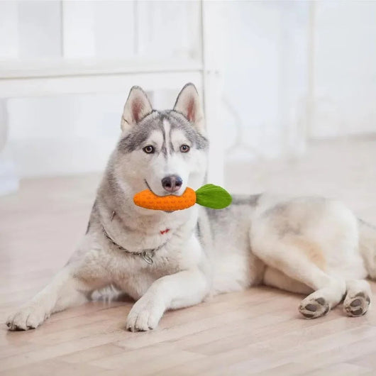 Juguete Masticable para Perros en Forma de Zanahoria - Goma Resistente con Sonido Chirriante - Image 9