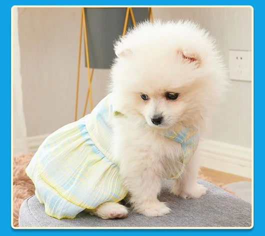 Vestidos Princesa para Perros Pequeños y Medianos - Ropa Elegante para Mascotas - Image 9