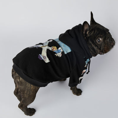 Ropa de Moda para Schnauzers - Colecciones Exclusivas - Image 9
