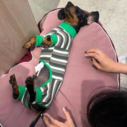 Chaleco Térmico para Mascotas - Abrigo Cálido Otoño e Invierno - Image 9