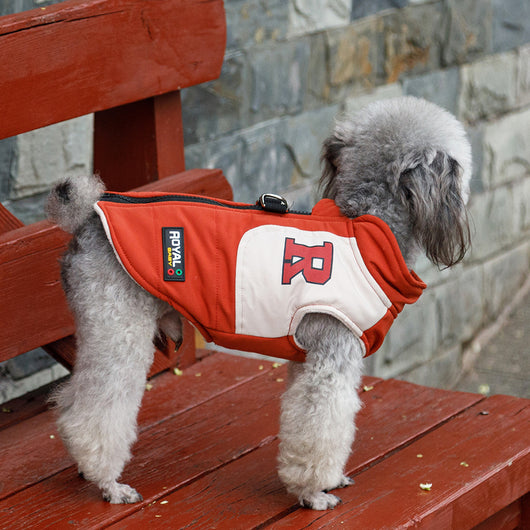 Chaleco Térmico para Mascotas - Abrigo Grueso para Otoño e Invierno - Image 37