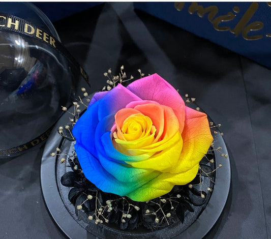 Rosas Preservadas Amor Eterno - Regalo Perfecto para San Valentín y Cumpleaños
