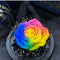 Rosas Preservadas Amor Eterno - Regalo Perfecto para San Valentín y Cumpleaños