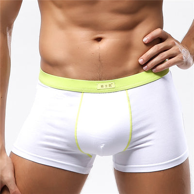 Shorts de Algodón Talla Grande Cómodos y Sensuales - Image 21