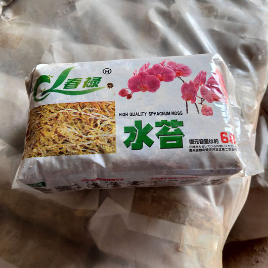 Musgo Estéril Deshidratado Premium - Image 7