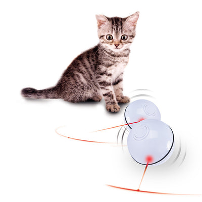 Pink plastic interactive pet toy ball with a power button and 'CLOSE'/'OPEN' markings for cats.