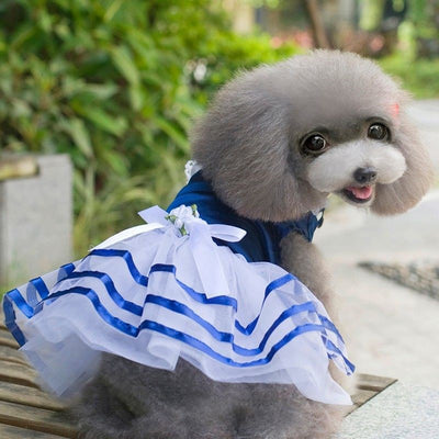 Vestido Princesa Ligero para Perros Pequeños - Colección Primavera Verano - Image 6