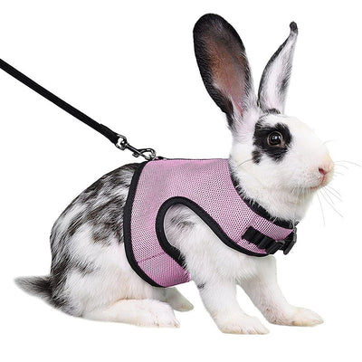 Light gray mesh pet harness with black trim and matching leash on a black and white rabbit. - Image 17