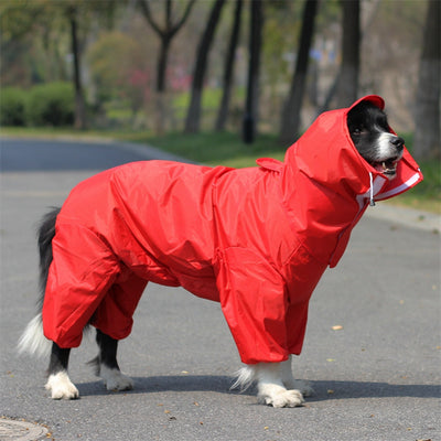 Impermeable Integral para Perros - Image 15