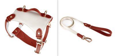 Arnés de Cuero para Mascotas con Cuerda Guía - Image 8