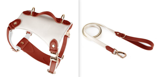Arnés de Cuero para Mascotas con Cuerda Guía - Image 8