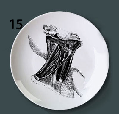 Placa Decorativa de Anatomía Ósea - Image 20