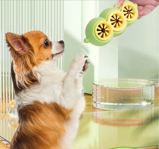 Juguete Interactivo Dispensador de Alimento con Limpieza Dental para Perros - Image 21
