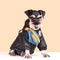 Abrigo Reflectante para Perros - Ropa Cálida de Algodón para Otoño e Invierno