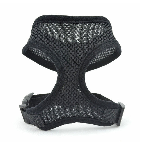 Chaleco Acolchado para Perros Pequeños y Gatos - Image 9