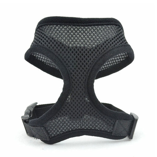 Chaleco Acolchado para Perros Pequeños y Gatos - Image 9