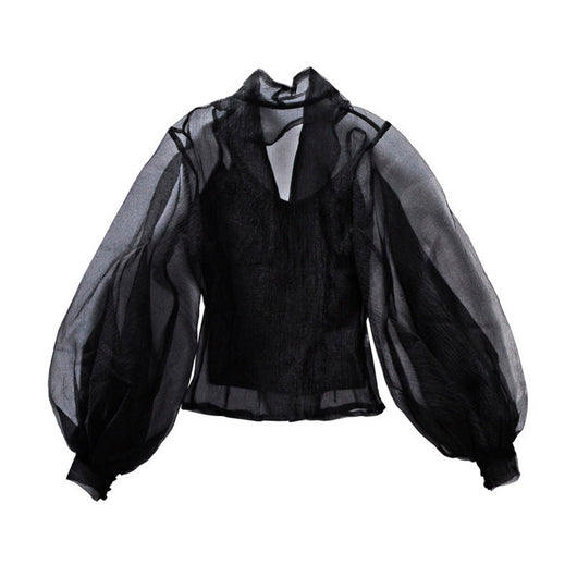 Blusa Sexy de Manga Vuelo Transparente - Image 6