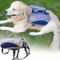 Mochila de Viaje Portátil con Bolsa Desmontable para Mascotas