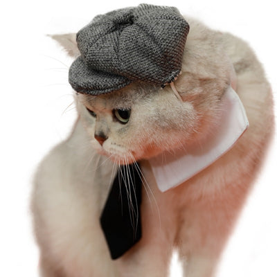 Boina y Corbata para Gato - Accesorios Fotográficos de Estilo Gentleman - Image 6