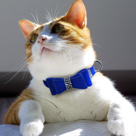 Correa para Perro y Gato de Terciopelo Coreano con Brillantes - Diseño Premium y Confortable