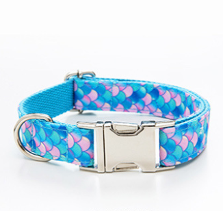 Collar Personalizado para Perros con Letras - Expresa su Personalidad - Image 2