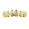Dientes Superiores Dorados