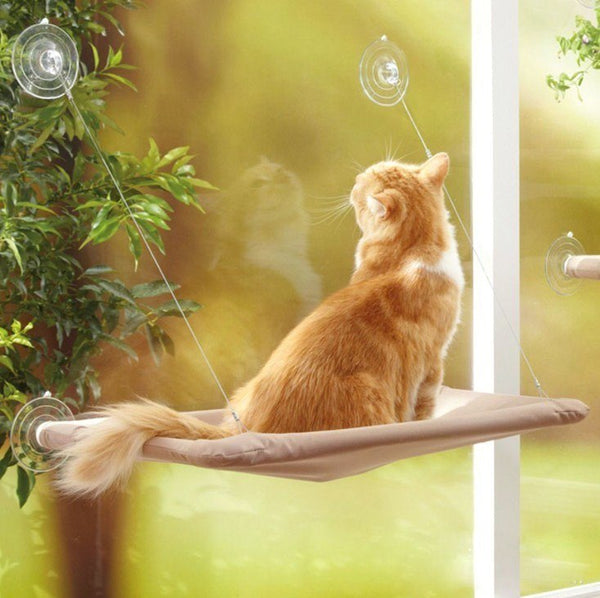Cama Colgante para Gatos - Asiento Solar en Ventana con Hamaca Confortable