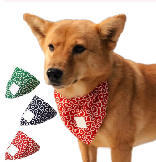 Venda Triangular para Perros