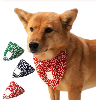 Venda Triangular para Perros