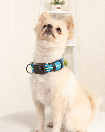 Collar Inteligente para Mascotas con Fibra Óptica, Impermeable y Carga Magnética - Image 6