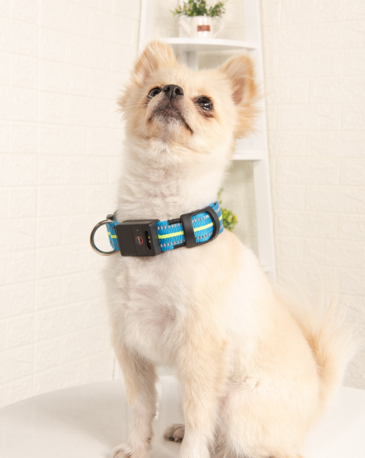Collar Inteligente para Mascotas con Fibra Óptica, Impermeable y Carga Magnética - Image 6