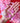 PINK SEXY BUNNY MASK Earrings - Tekeno
