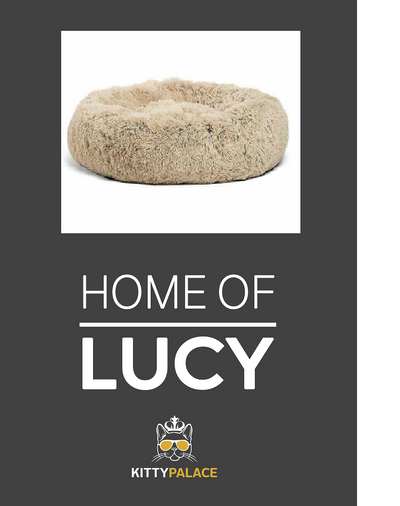 Cama para mascotas con tapete personalizado - Image 10