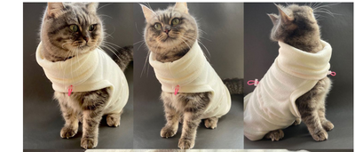 Suéter Térmico para Gato Sphinx - Abrigo Universal Invierno - Image 9