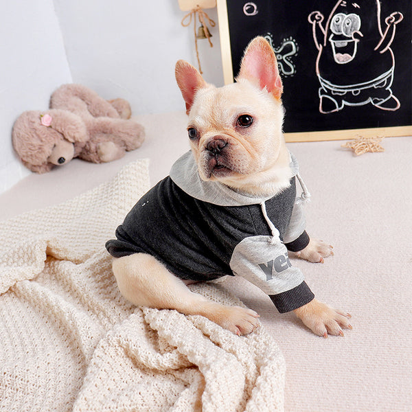 Suéter de Moda para Perros de Dos Patas