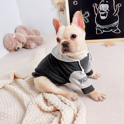 Suéter de Moda para Perros de Dos Patas