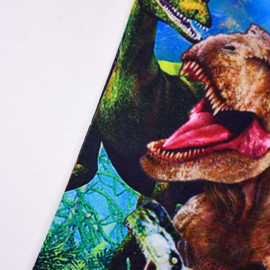 Camiseta Dinosaurios Mundo Jurásico Niños y Adolescentes - Image 23
