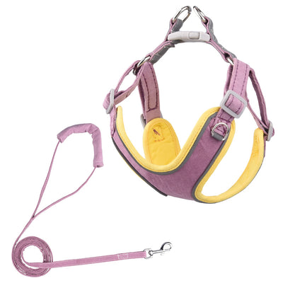 Arnés Ajustable para Perros y Correa Cómoda para Mascotas - Image 12