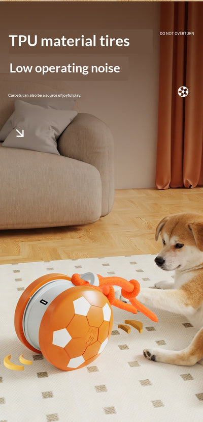 Juguete Interactivo Eléctrico para Gatos y Perros - Bola Autojugable - Image 19