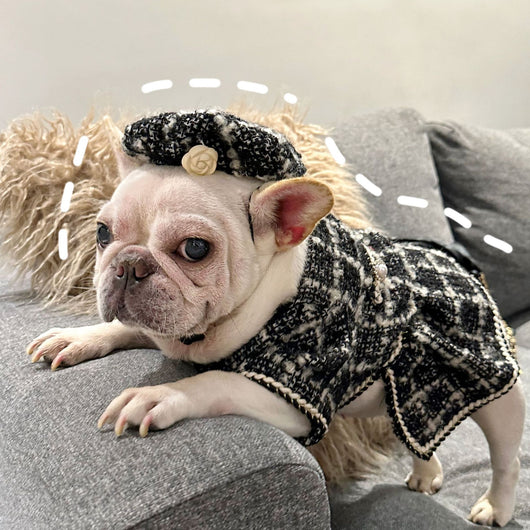 Ropa Premium para Mascotas - Colección Trendy - Image 2