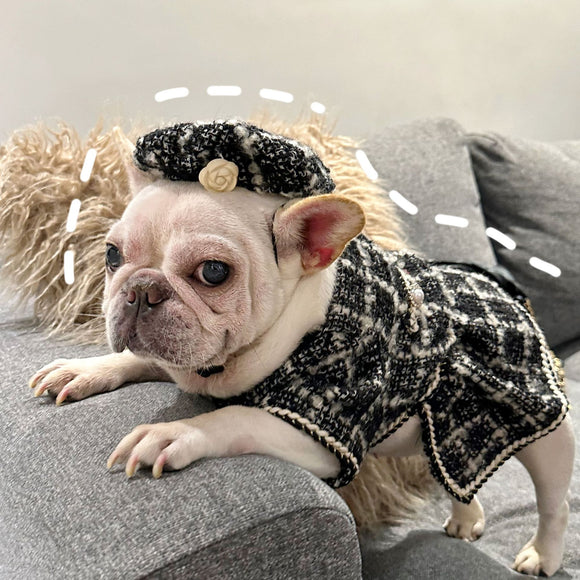 Ropa Premium para Mascotas - Colección Trendy