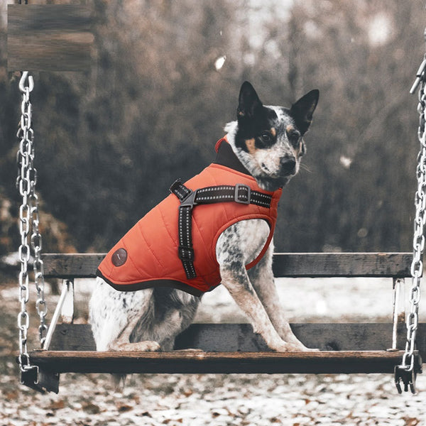 Abrigo Térmico para Perros Otoño-Invierno con Acolchado Integrado