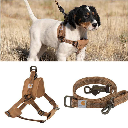 Cinturón de Entrenamiento para Perros con Correa de Sujeción Segura - Image 2