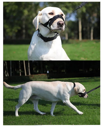 Bozal Ajustable para Perros Anti-mordidas y Anti-ladridos con Espuma Suave - Image 7