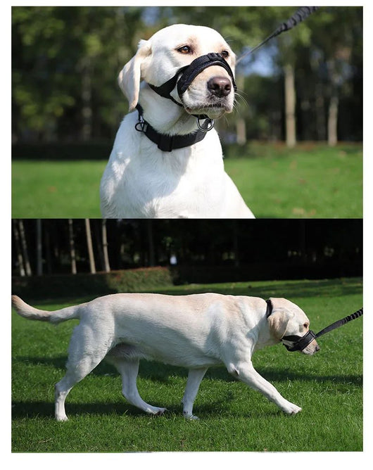 Bozal Ajustable para Perros Anti-mordidas y Anti-ladridos con Espuma Suave - Image 7