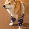 Protector de Articulaciones para Mascotas - Manga Protectora Antisuciedad