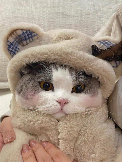 Capa Térmica de Felpa para Mascotas - Manta Cálida Oso Adorable Otoño Invierno - Image 6