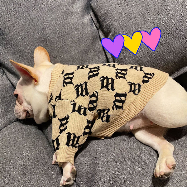 Suéter para Perro Schnauzer Teddy Aero Bull - Diseño Viral de Celebridad Internet