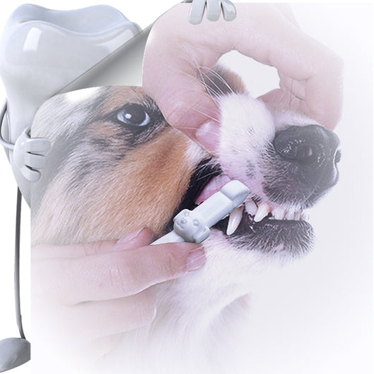 Toallitas Limpiadoras de Dientes para Mascotas - Herramienta Portátil de Higiene Bucal